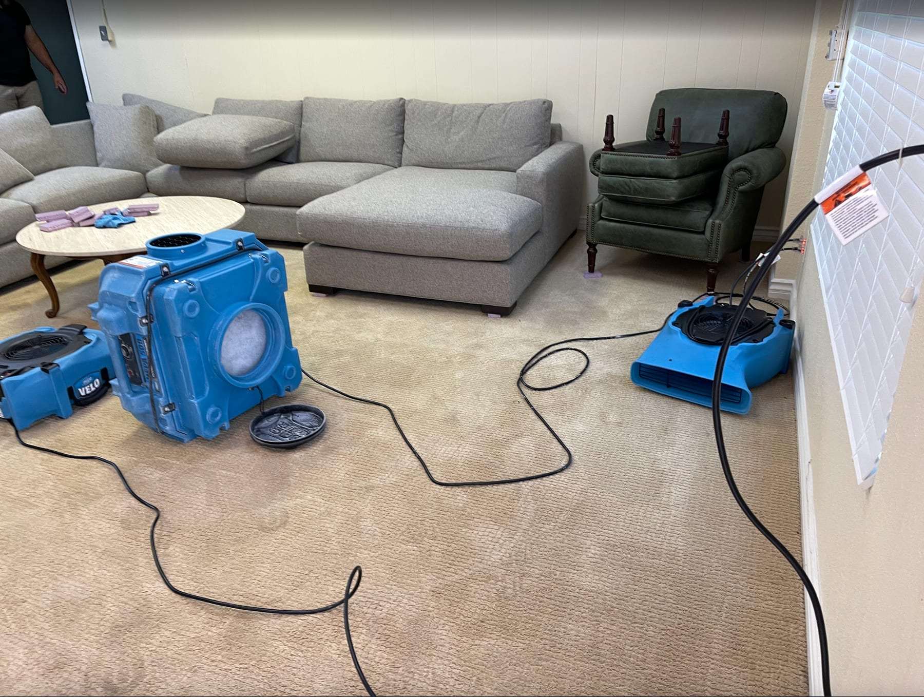 Living room carpet drying with an air scrubber and air movers